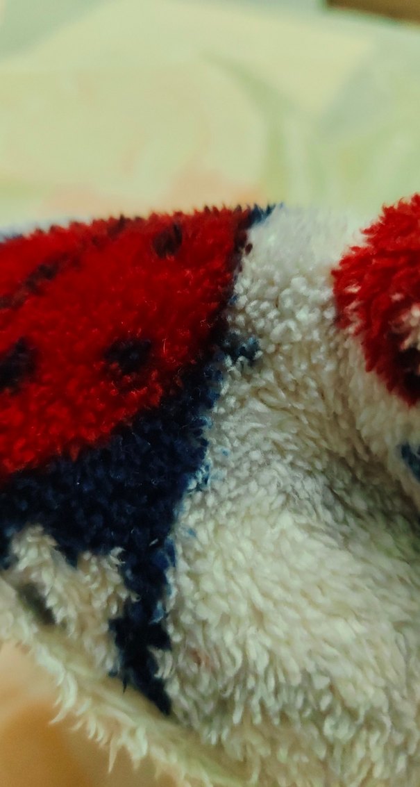 Kız erkek çoçuk için Renkli Nakışlı Sıcak Ev Terliği - Görsel 5