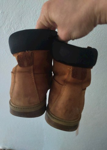 Kahverengi Tokalı Bot - Görsel 3