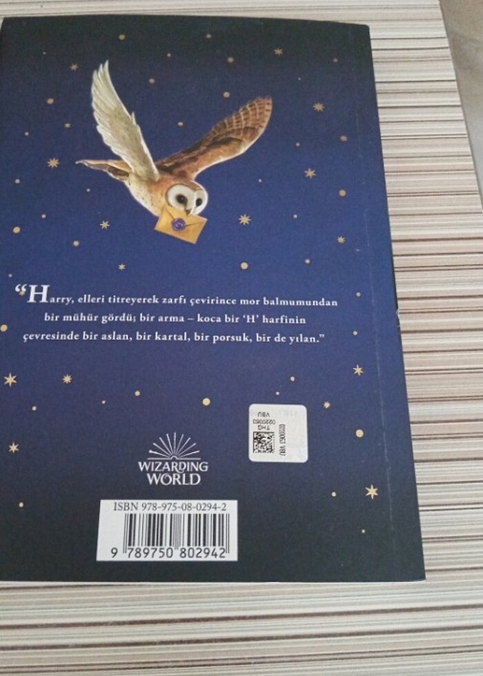 Harry potter - Görsel 4