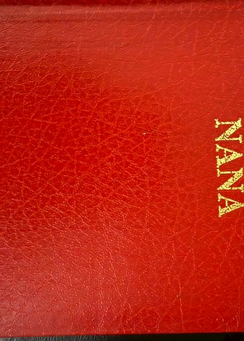 Kitap çeşitleri - Görsel 8