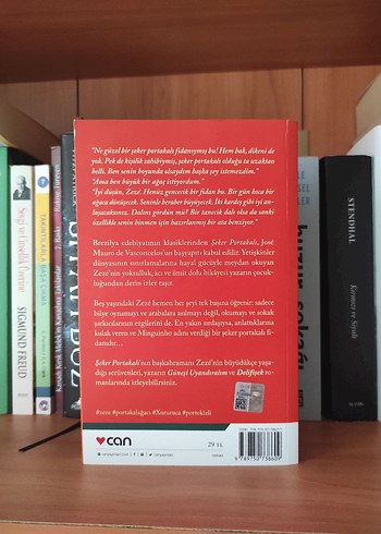 Şeker Portakalı - José Mauro de Vasconcelos - Görsel 2