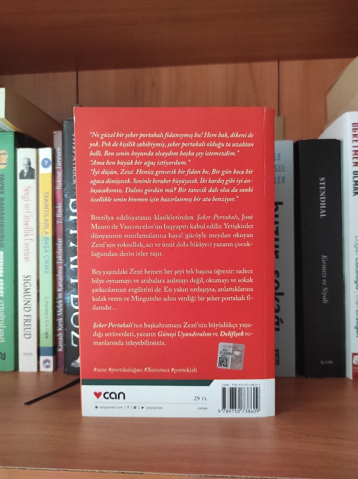 Şeker Portakalı - José Mauro de Vasconcelos - Görsel 2