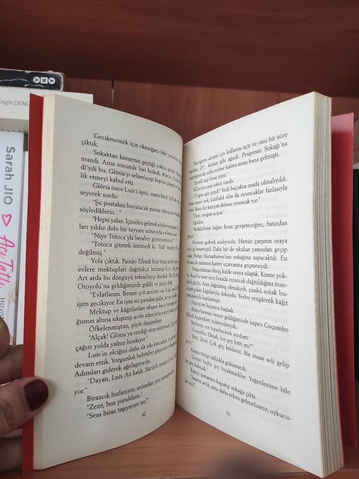 Şeker Portakalı - José Mauro de Vasconcelos - Görsel 3