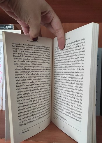 Son Kuşlar - Sait Faik Abasıyanık - Görsel 3