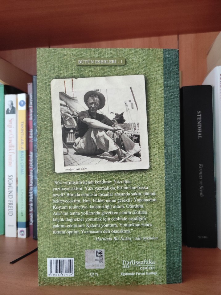 Son Kuşlar - Sait Faik Abasıyanık - Görsel 2