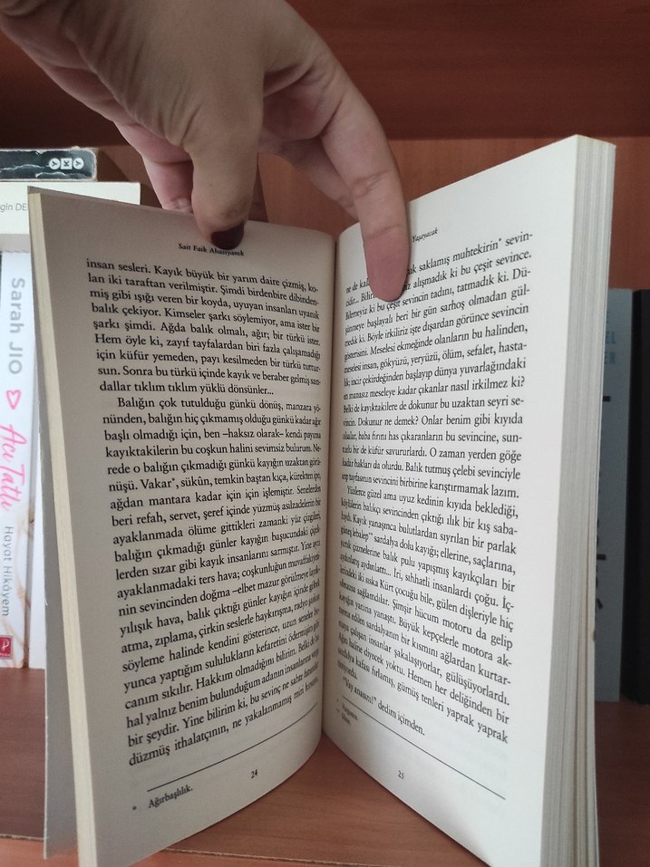 Son Kuşlar - Sait Faik Abasıyanık - Görsel 3