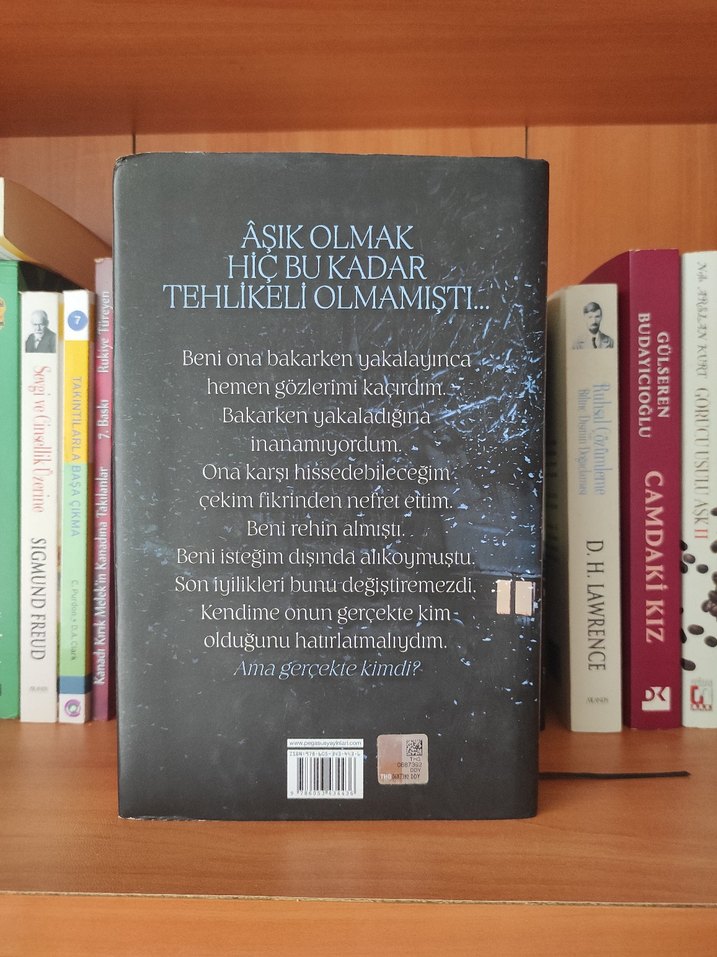 Siyah Buz - Becca Fitzpatrick - Görsel 2