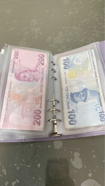 Diğer Birikim bütçe defteri