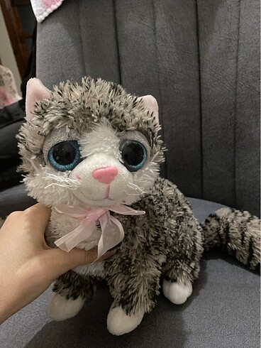  Beden Tatlış kedi
