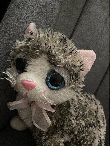  Tatlış kedi