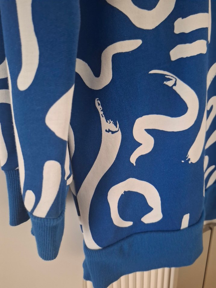 Mavi Baskılı Uzun Kollu Kadın Sweatshirt - Görsel 3