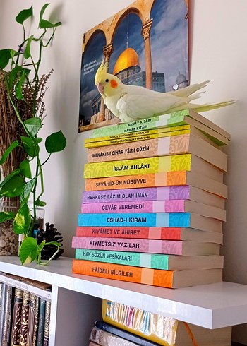 Renkli Kapaklı 12 İslami Kitap Seti