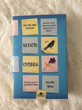 Hayatın kıyısında kitap