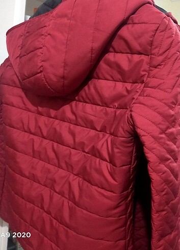 s Beden bordo Renk Mont kaban