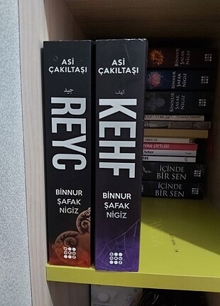 Asi çakıltaşı kitap serisi 