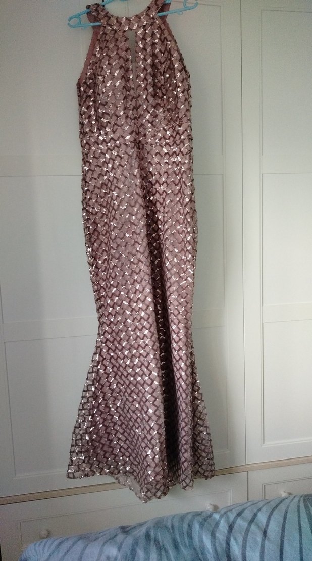 pembe  Parlak Yılan Desenli Uzun Abiye Elbise - Görsel 5