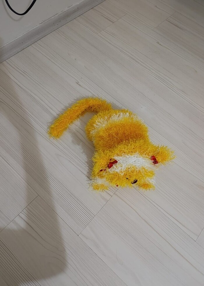 El örgüsü kedi  - Görsel 2