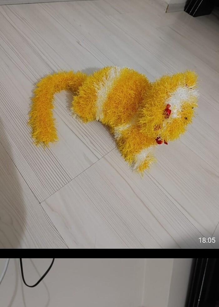 El örgüsü kedi  - Görsel 3