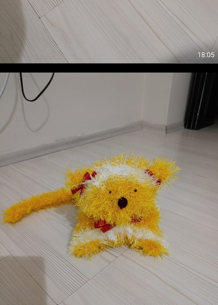 El örgüsü kedi  - Görsel 4