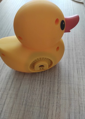 Diğer Sarı Ördek