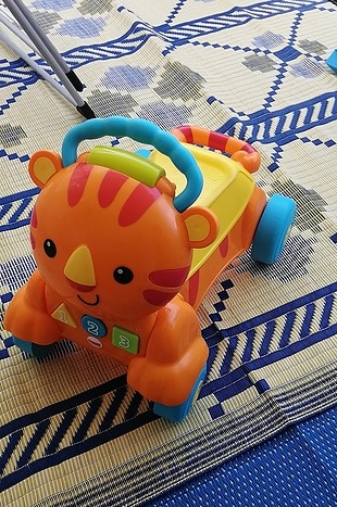 fisher price yürüme arkadaşım. 