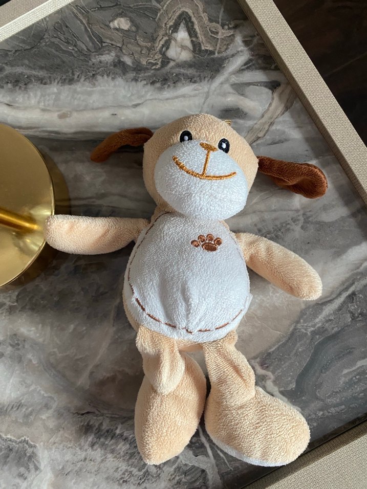 Bej Yumuşak Oyuncak Köpek - Görsel 3