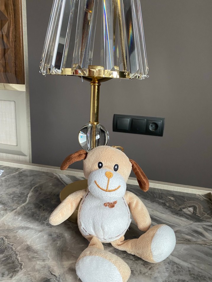 Bej Yumuşak Oyuncak Köpek - Görsel 2