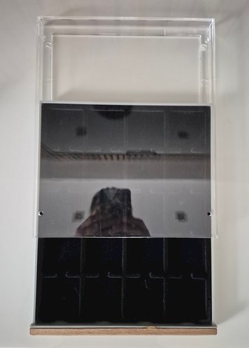 Lindner Madeni Para Koleksiyon Çekmecesi - Görsel 2