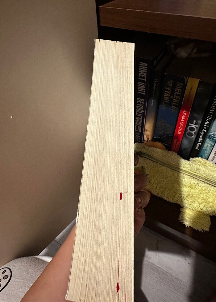 Sinekli bakkal kitap - Görsel 2