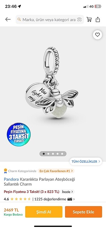 Beden çeşitli Renk PANDORA BİLEKLİK VE CHARM