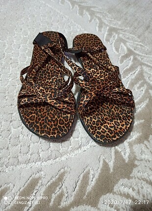 LEOPARLO BAYAN TERLİK 38 NUMARA