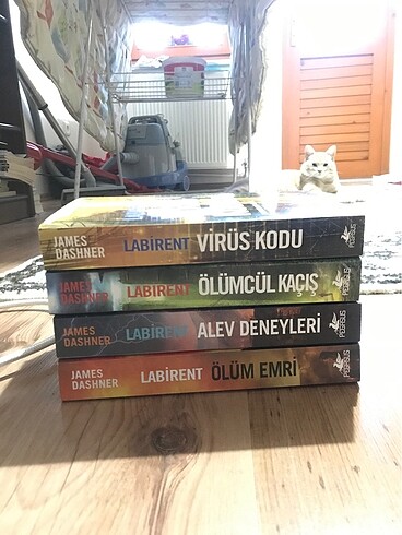 Labirent serisi