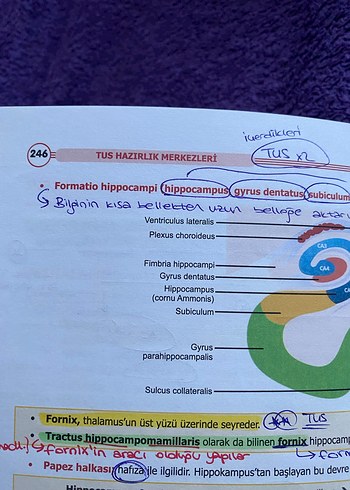 Tusdata Şampiyonların Serisi Temel Bilimler Seti