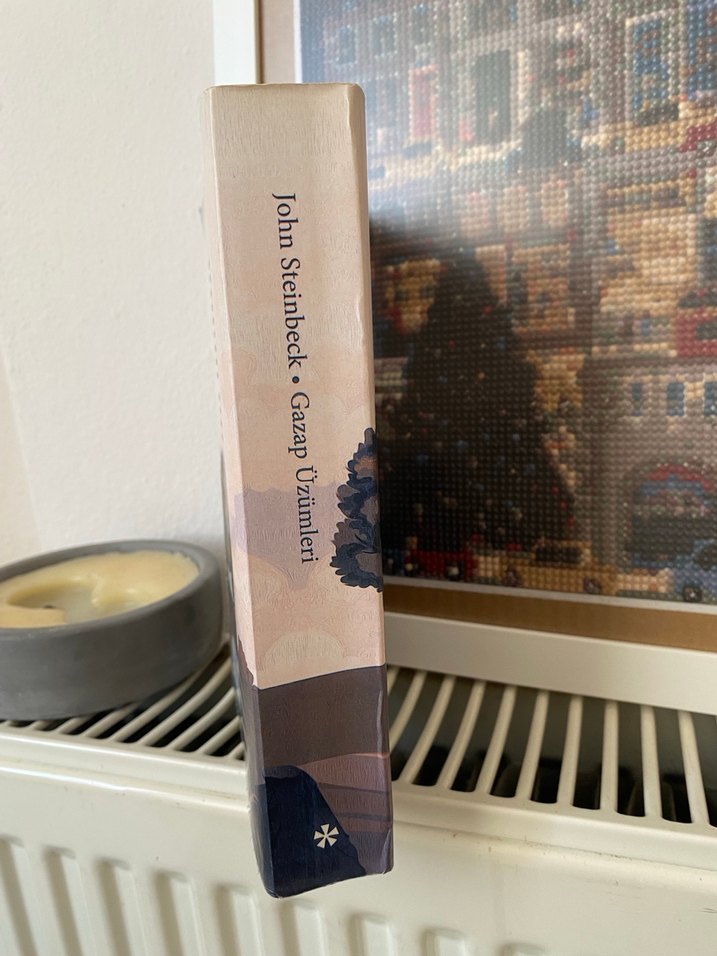 John Steinbeck - Gazap Üzümleri - Görsel 3