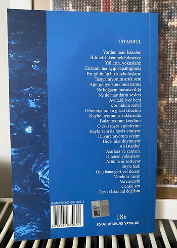 Mavi Aşk - Metin Gerenler İlk Baskı - Görsel 2