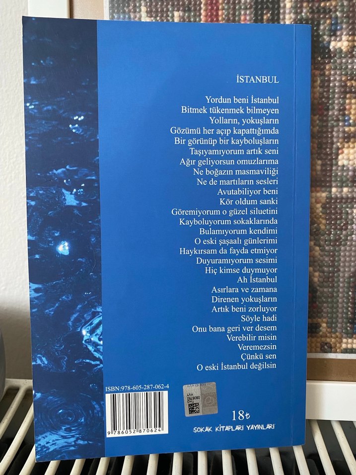 Mavi Aşk - Metin Gerenler İlk Baskı - Görsel 2