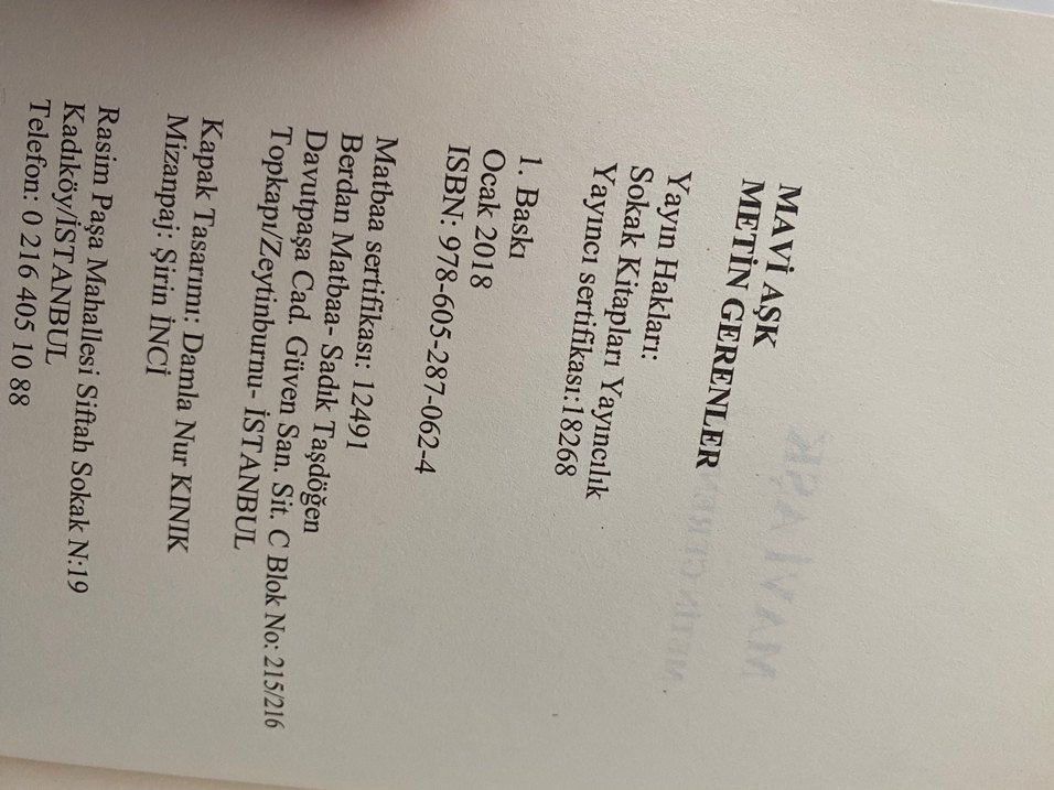 Mavi Aşk - Metin Gerenler İlk Baskı - Görsel 3