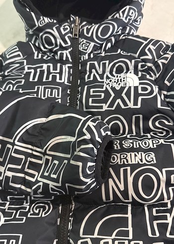 The North Face erkek çocuk mont - Görsel 2