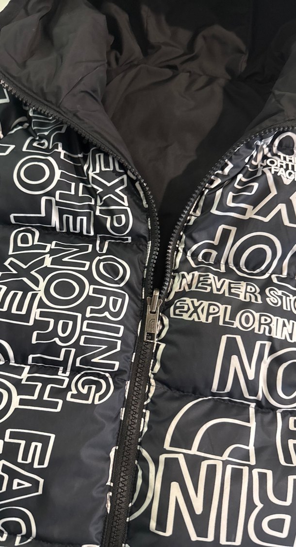 The North Face erkek çocuk mont - Görsel 4