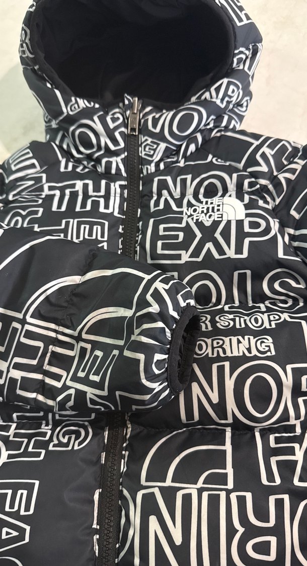 The North Face erkek çocuk mont - Görsel 2