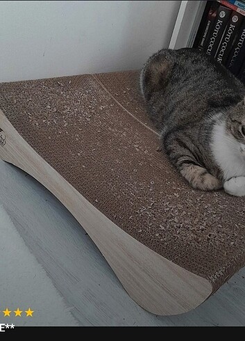 KEDİ TIRMALAMA KANEPESİ (OLUKLU MUKAVVA) - Görsel 6