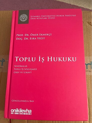 Toplu İş Hukuku / Ömer Ekmekçi