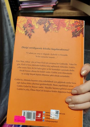 Goblin - Kim Su-yeon Romanı - Görsel 2