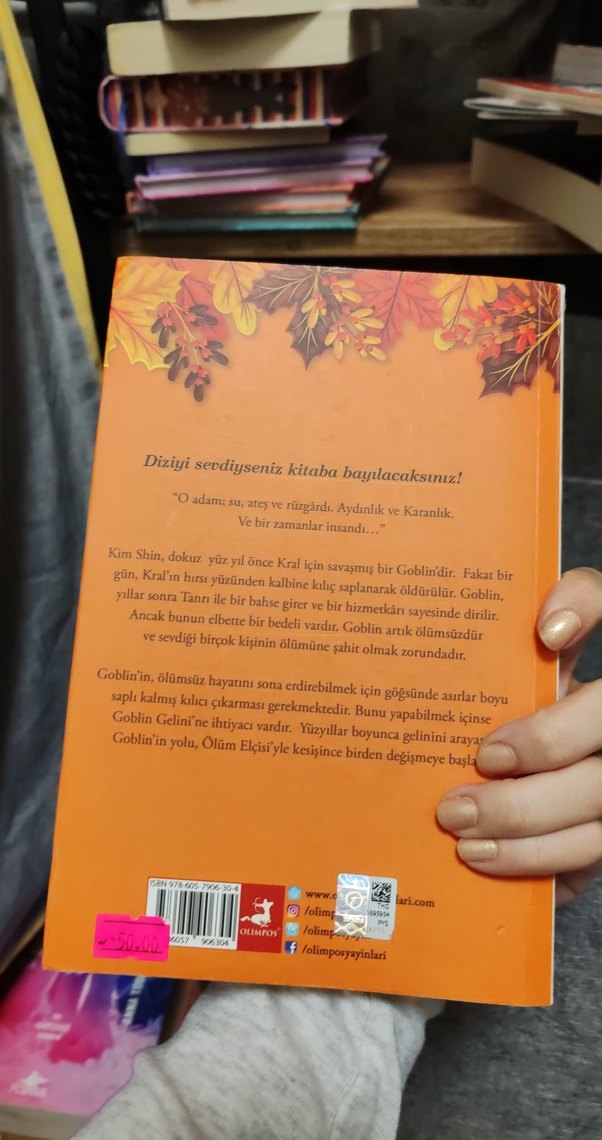 Goblin - Kim Su-yeon Romanı - Görsel 2