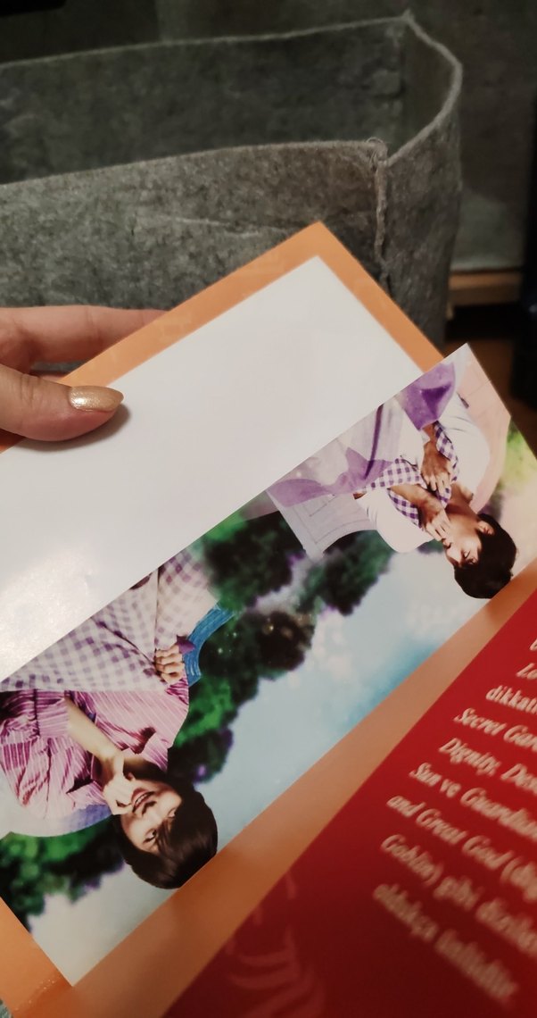 Goblin - Kim Su-yeon Romanı - Görsel 3