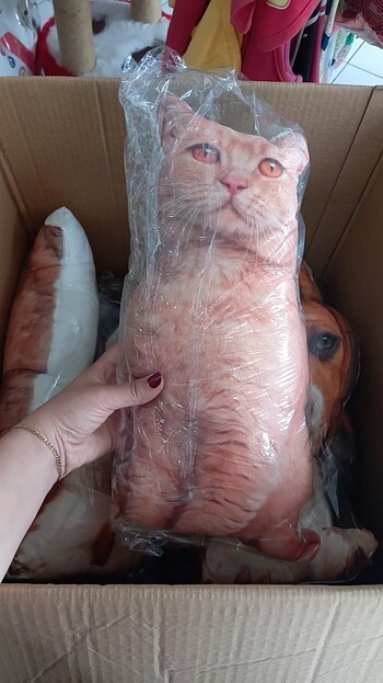 Kedi köpek yastığı