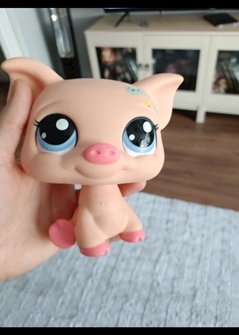 domuz miniş
