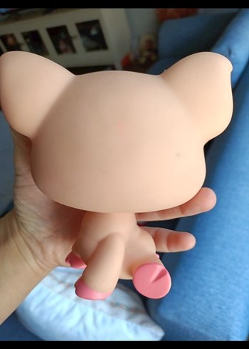  domuz miniş
