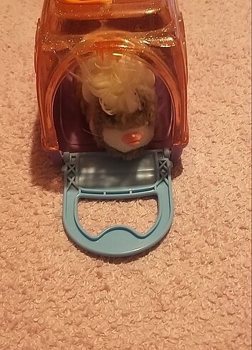 Hamster ve yuvası