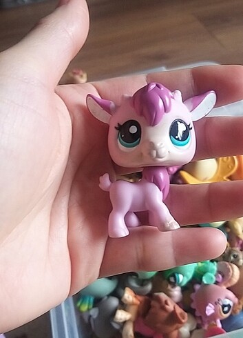 Miniş